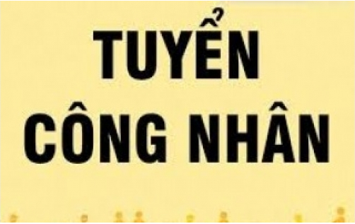 Tuyển dụng Nhân Viên Xuất Nhập Khẩu